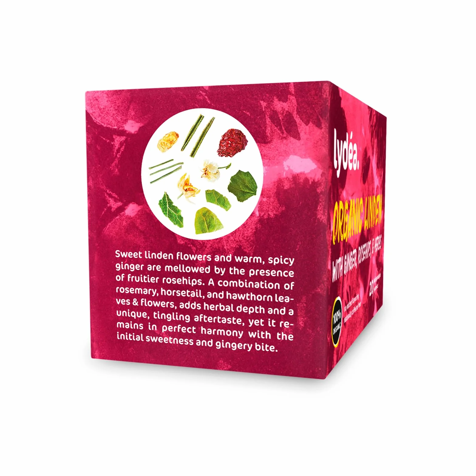 Lydea Tisane bio, tilleul avec gingembre, cynorrhodon et herbes, 60 pyramides, lot de 3 [3 x 20 pyramides]