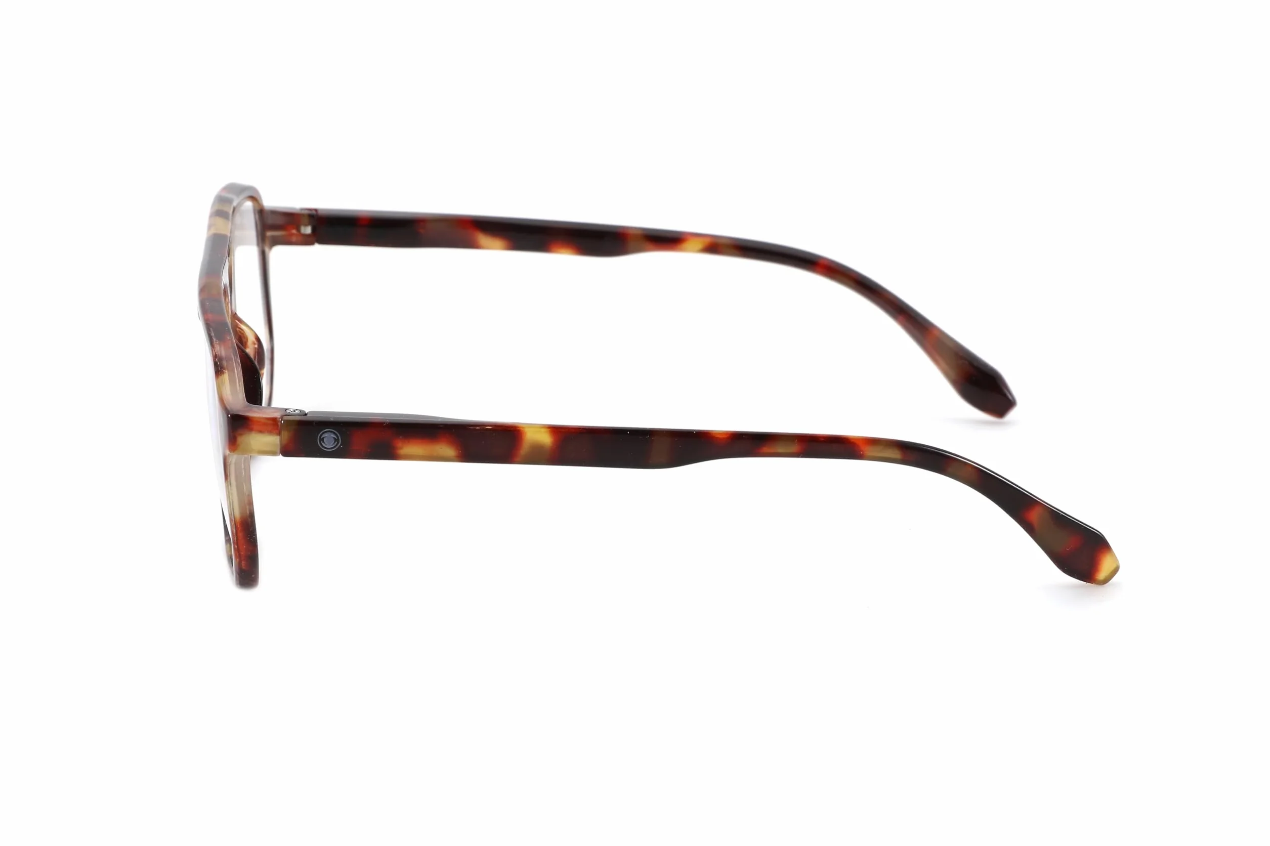 Lunettes de lecture Prince Tortue +1,50 Prontoleggo
