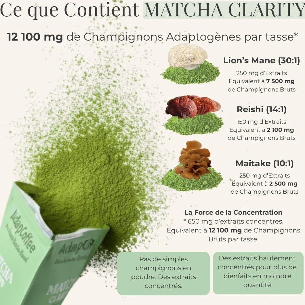 Matcha Clarity – Thé Matcha Cérémonial aux Champignons Adaptogènes – Lion’s Mane, Reishi & Maitake – Énergie Naturelle & Concentration – Vegan, Sans Sucre Ajouté – 25 tasses (100g)